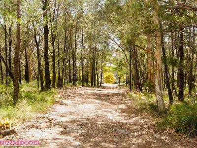 244 Lake Cooroibah Road, Cooroibah