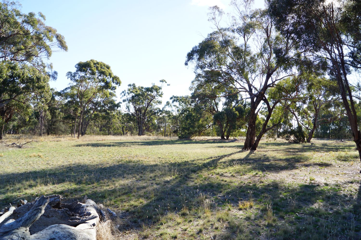 593 Horsham-Noradjuha Road, Lower Norton