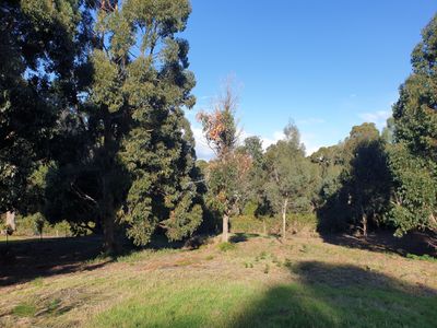 7 Amelia Street, Gordon