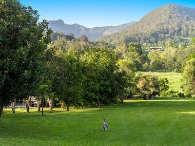 169 Gungas Road, Nimbin