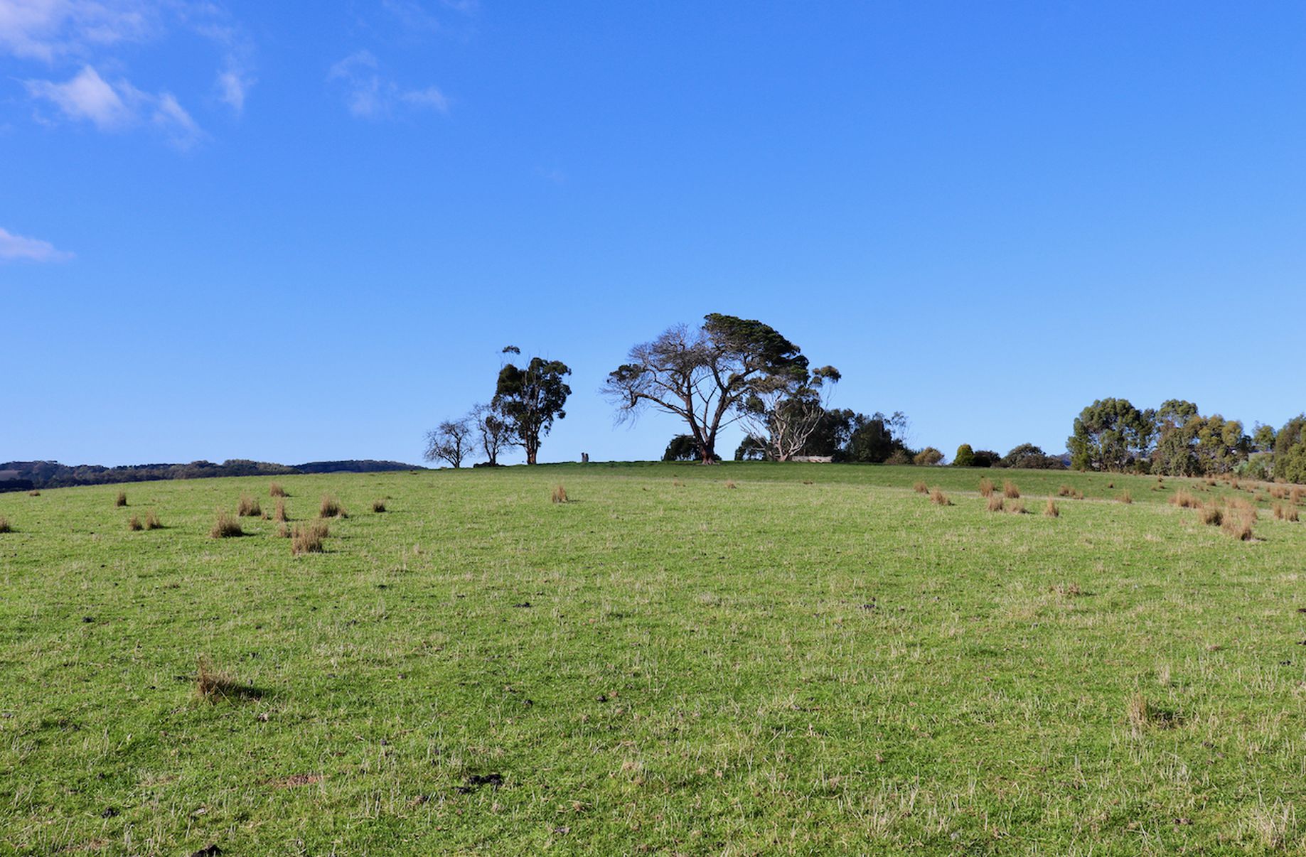 Fords Outlet Road, Deans Marsh