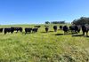 400 Balgaling Road, Toodyay