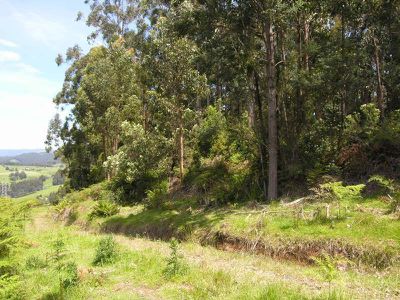 Lot 4 Lloyds Road, Franklin