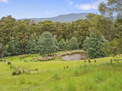 110 Sunday Hill Road, Petcheys Bay