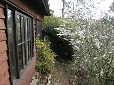 22 Igglesden Road, Cygnet