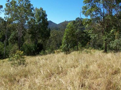 Maleny
