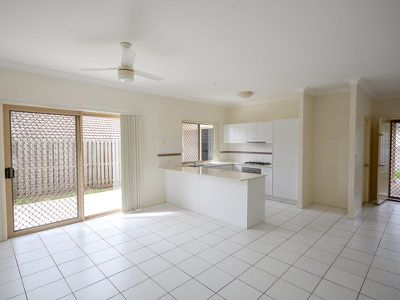 17 Nicholls Drive, Redbank Plains