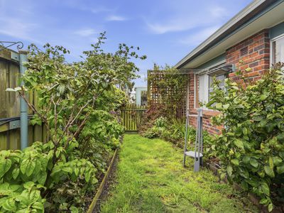 3 / 39 Sorell Street, George Town