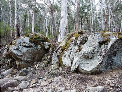 2011 Big Jack Mountain Road, Rocky Hall