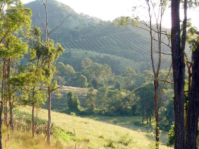 Kandanga Creek