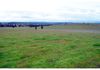 Coates Creek Road, Manildra