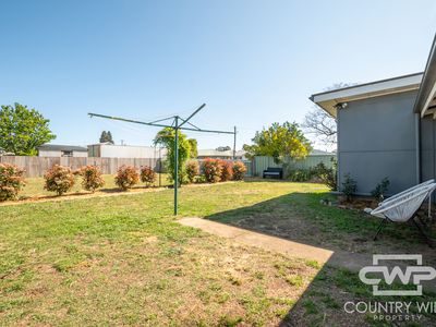 171 Herbert Street, Glen Innes