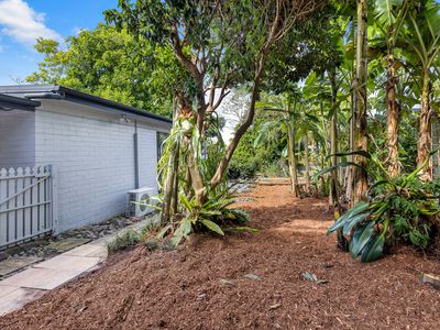 107 Eumundi Noosa Road, Noosaville