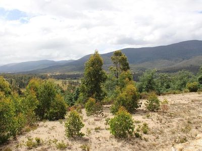 547 She Oak Road, Judbury