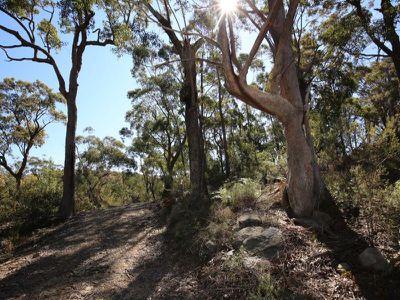 507 Leebold Hill Road, Kangaroo Valley