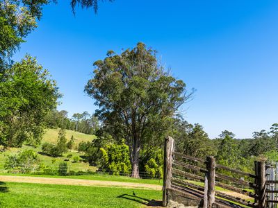 4358 Kyogle Road, Lillian Rock