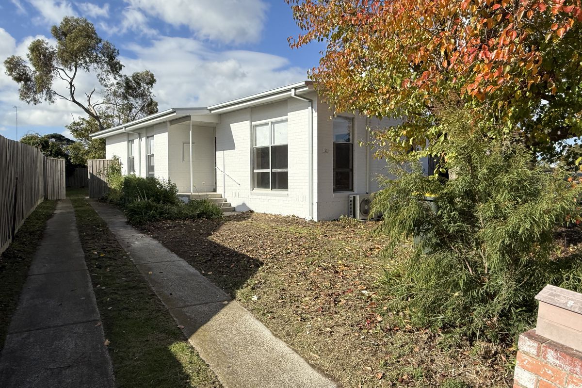 Light Filled Renovated Home 