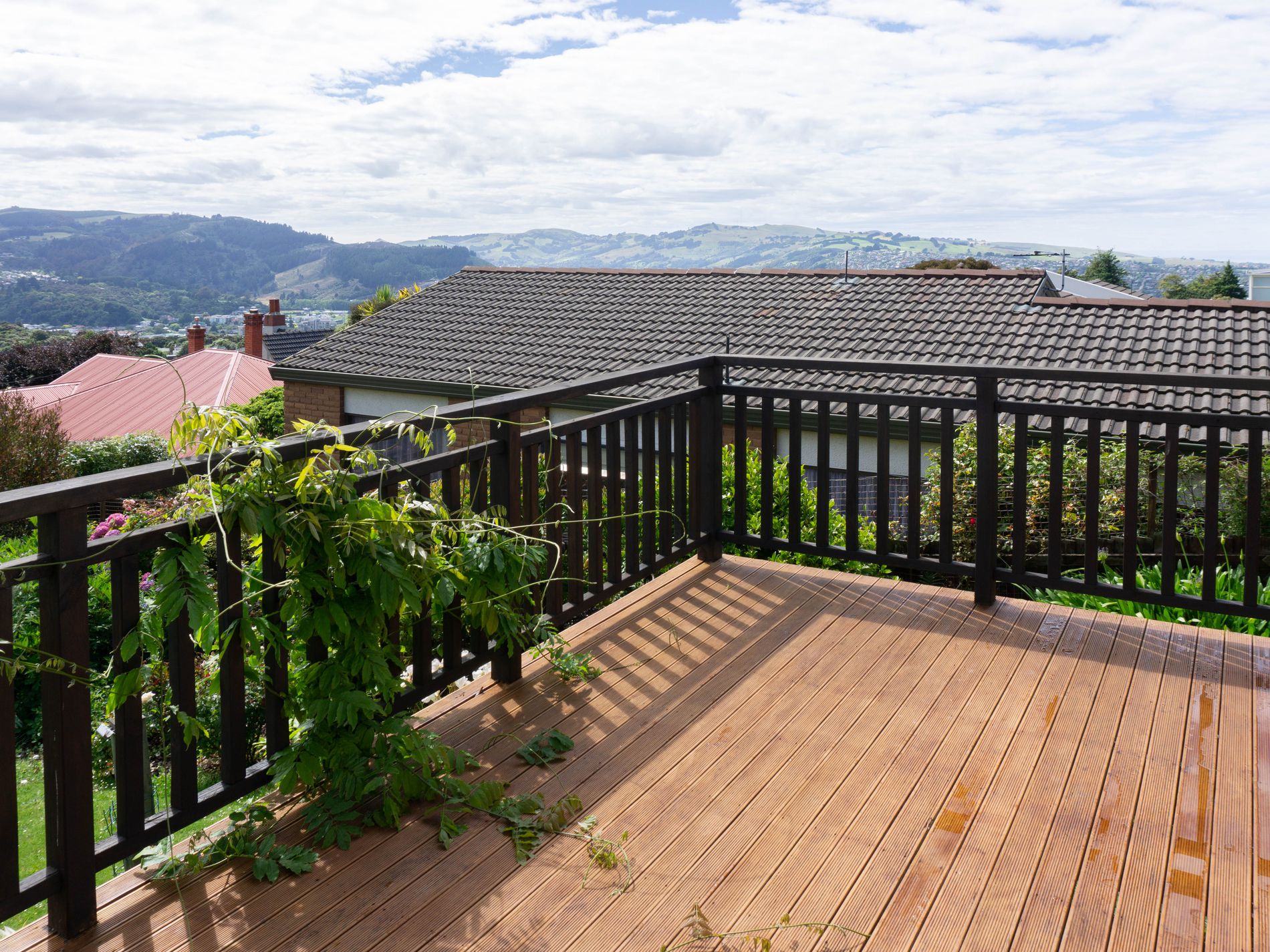 21 Sheen Street, Roslyn