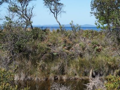 39 Vincent Avenue, Verona Sands