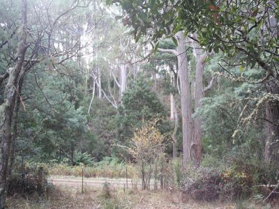 Lot 4 Holmes Road, Ellendale