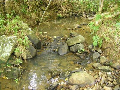 Lot 9 Tulsi Lane, Nimbin