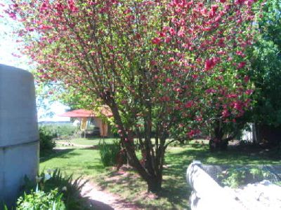 6042 Murray Valley High way, Cohuna