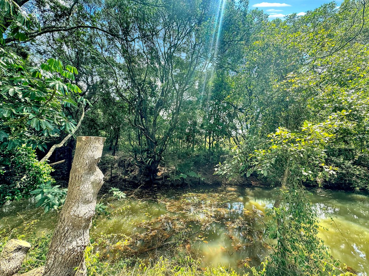 48 Russell Road West, Lake Eacham