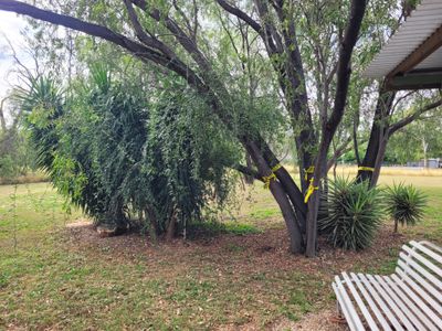 lot 402 Hoy Rd, Willows
