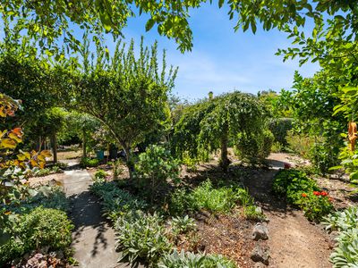 8 Playne Street, Heathcote