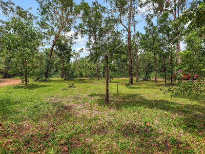 67 Eucalyptus Road, Herbert