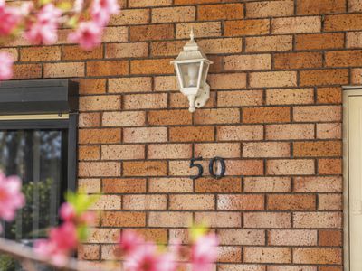 50 Alice Street, Wiley Park