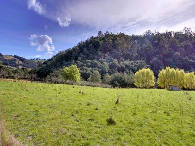 184 Golden Valley Road, Cygnet