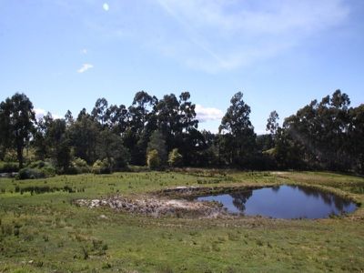 4552 Channel Highway, Middleton