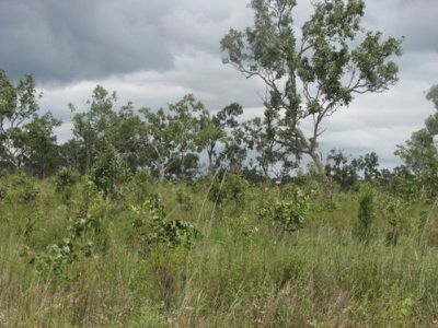 Coronet Drive, Mareeba