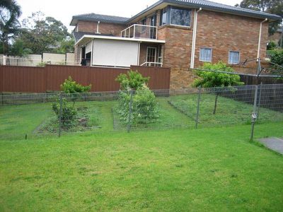 Mount Warrigal