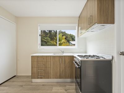 4 Woodrow Place, Figtree