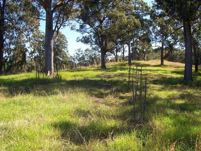 Ourimbah
