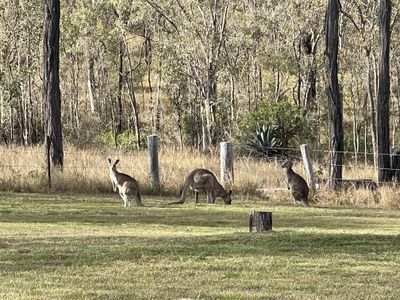 48 McCauley Weir Road, Nanango