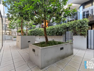 316 / 81 Riversdale Road, Hawthorn East