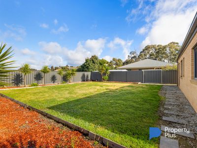 213 Redgum Way, Jackass Flat