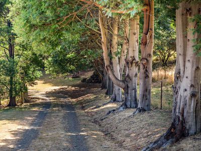 139 Cradoc Hill Road, Cradoc