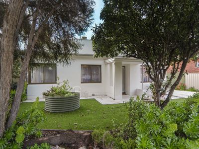62 Dingera Street, North Plympton