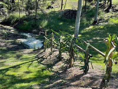 2 Belleridge Road, Nimbin