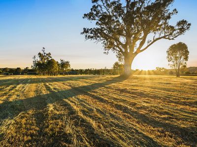 18 Grimwade Lane, Mansfield