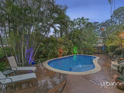 13 Larwood Place, Ferny Hills