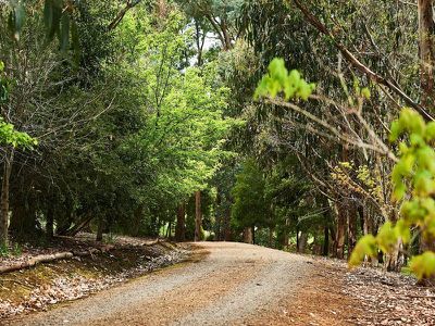 45 Bromfield Drive, Barwite