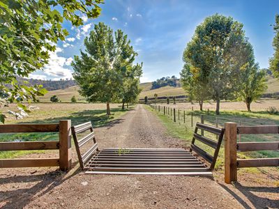 Lot 1, 157 Jingellic Road, Jingellic