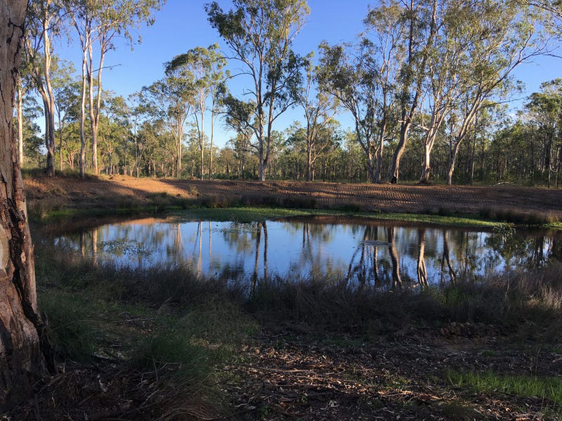 Lot 1, Sandy Creek Pioneer Estate, Nanango