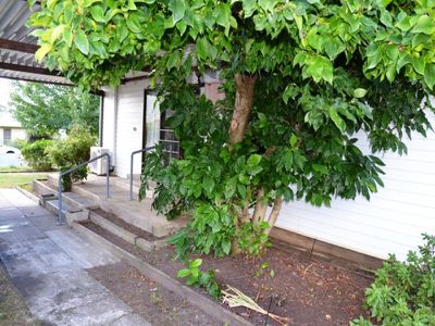 86 Lakeside, Mount Beauty