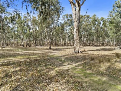 1149 Woolshed Road, Tocumwal
